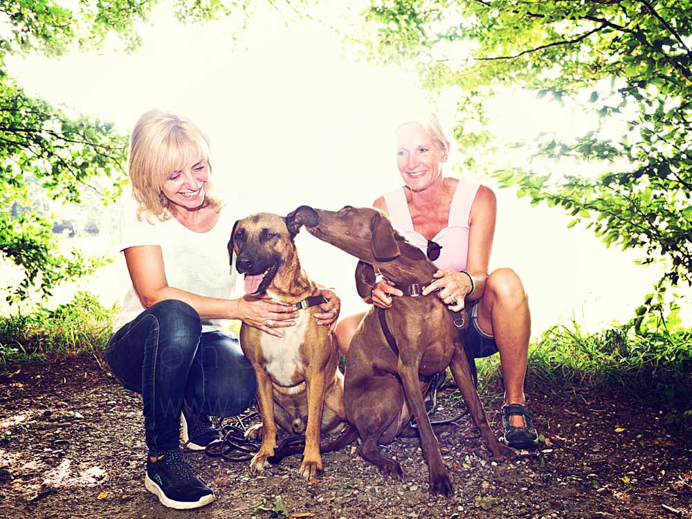 Hundewanderung113