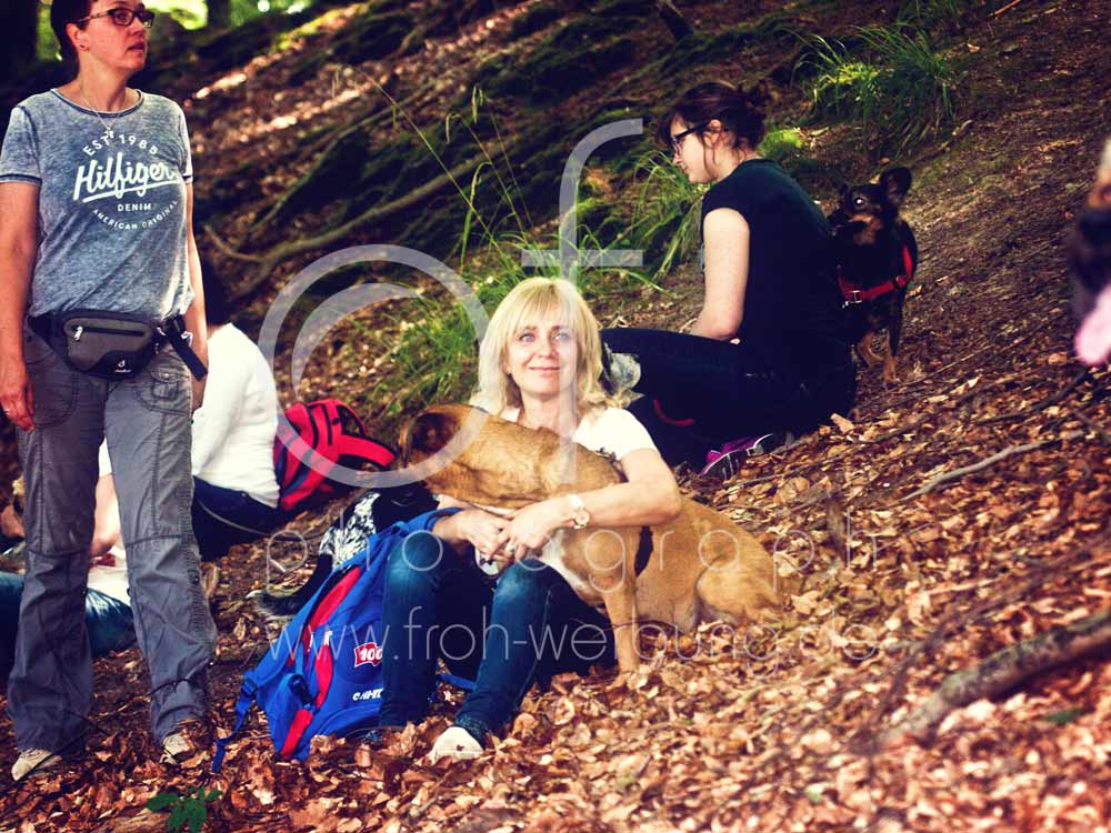 Hundewanderung125
