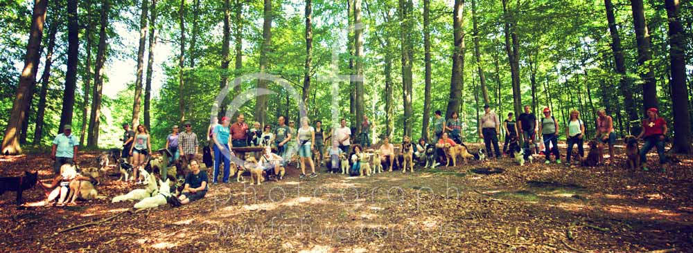 Hundewanderung128