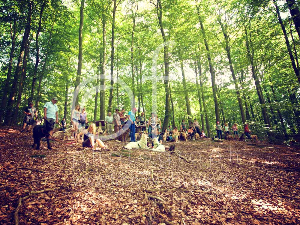 Hundewanderung129