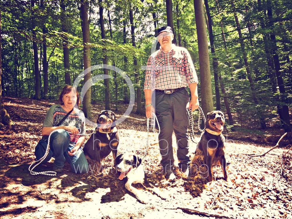 Hundewanderung130