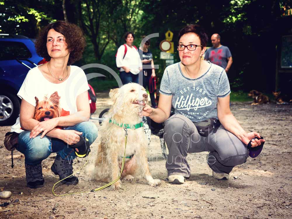 Hundewanderung14