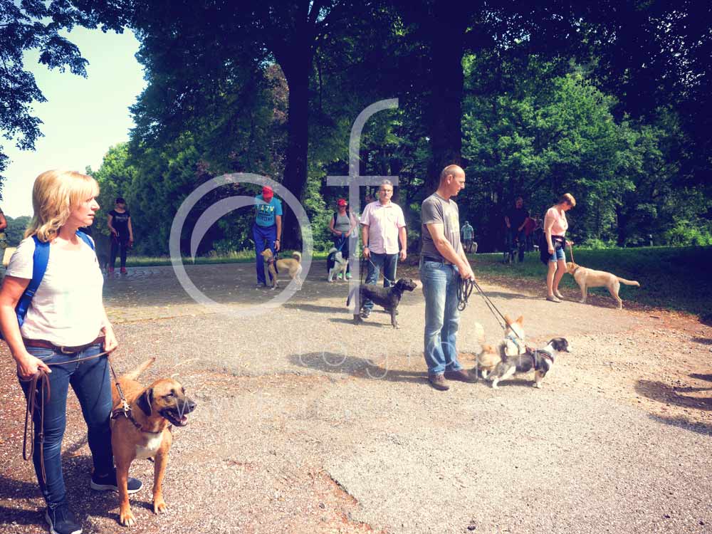 Hundewanderung15