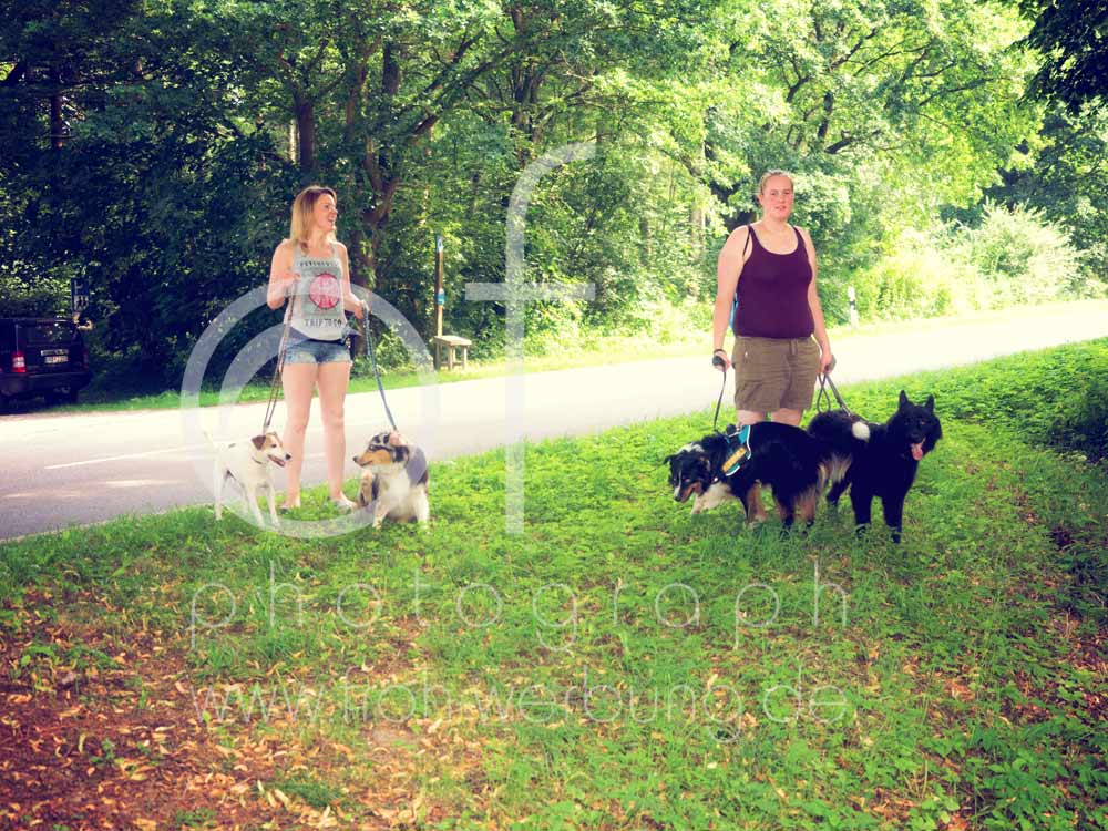 Hundewanderung16