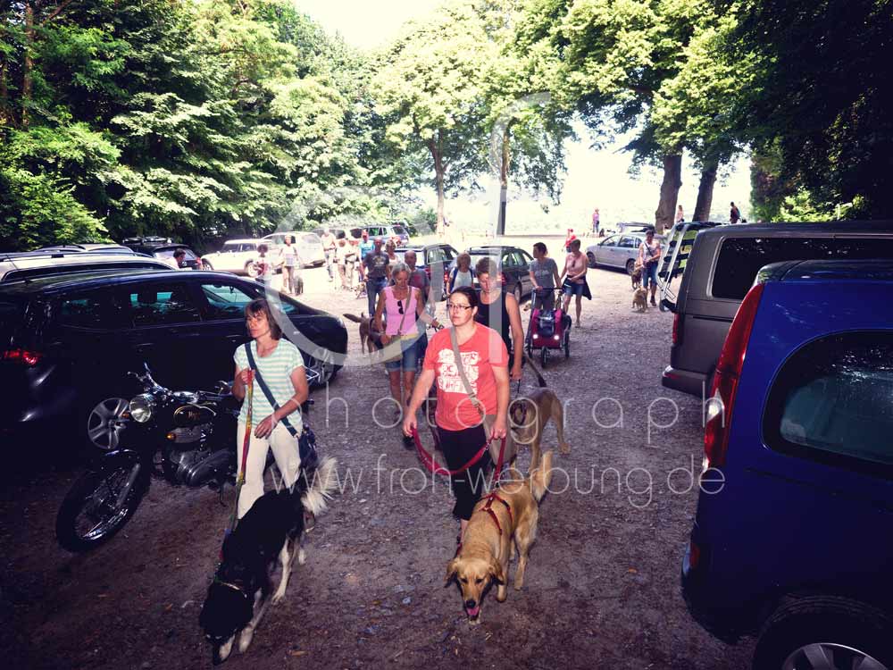 Hundewanderung18