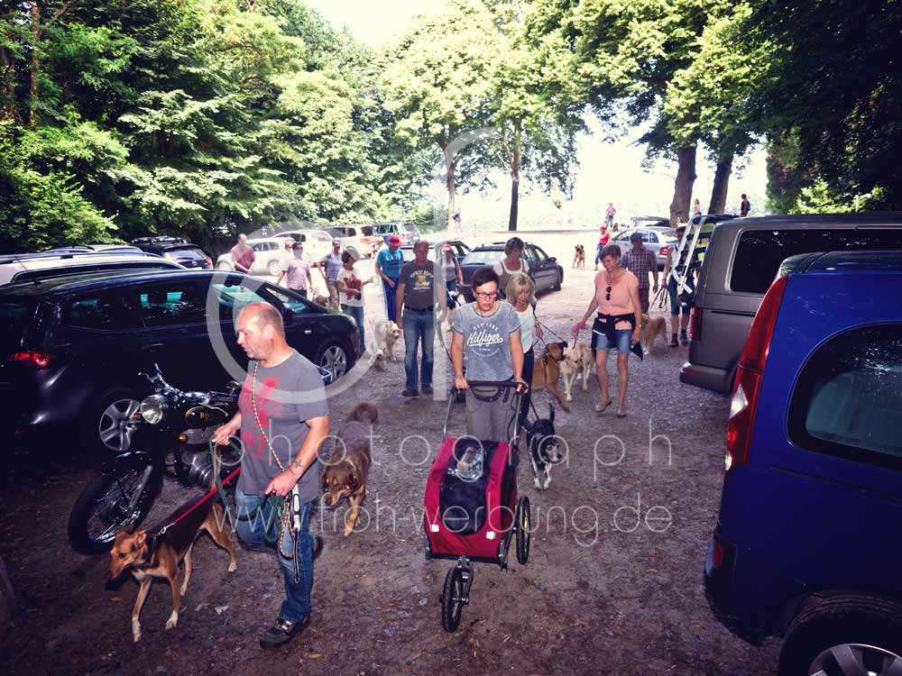Hundewanderung19