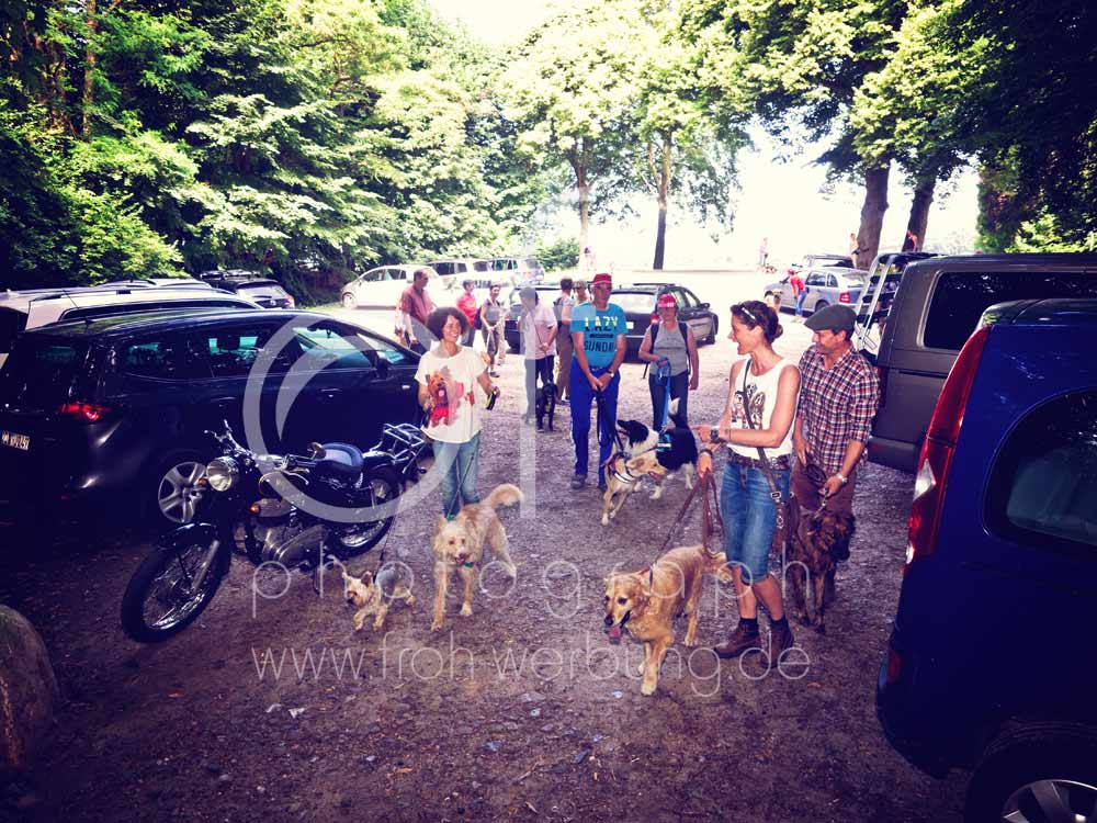 Hundewanderung21