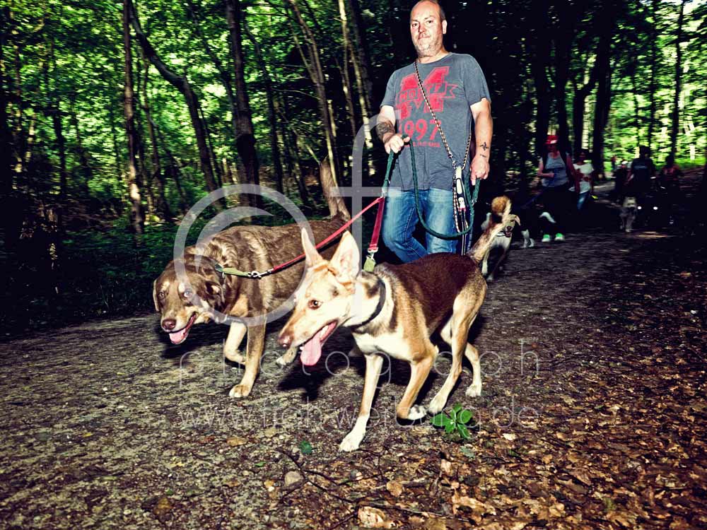 Hundewanderung28
