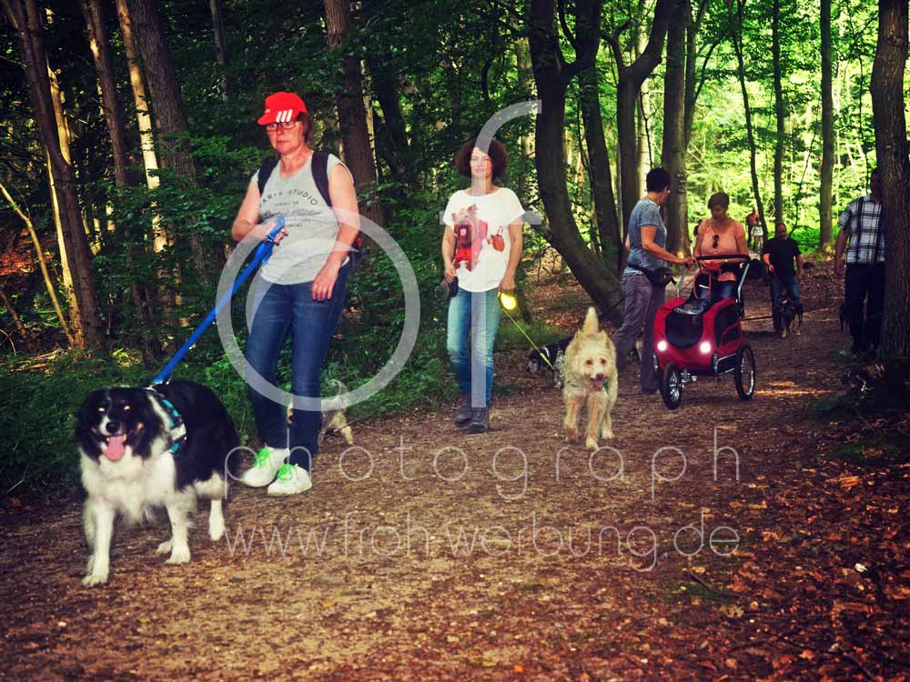 Hundewanderung29