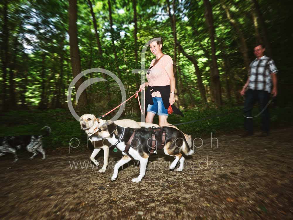 Hundewanderung30