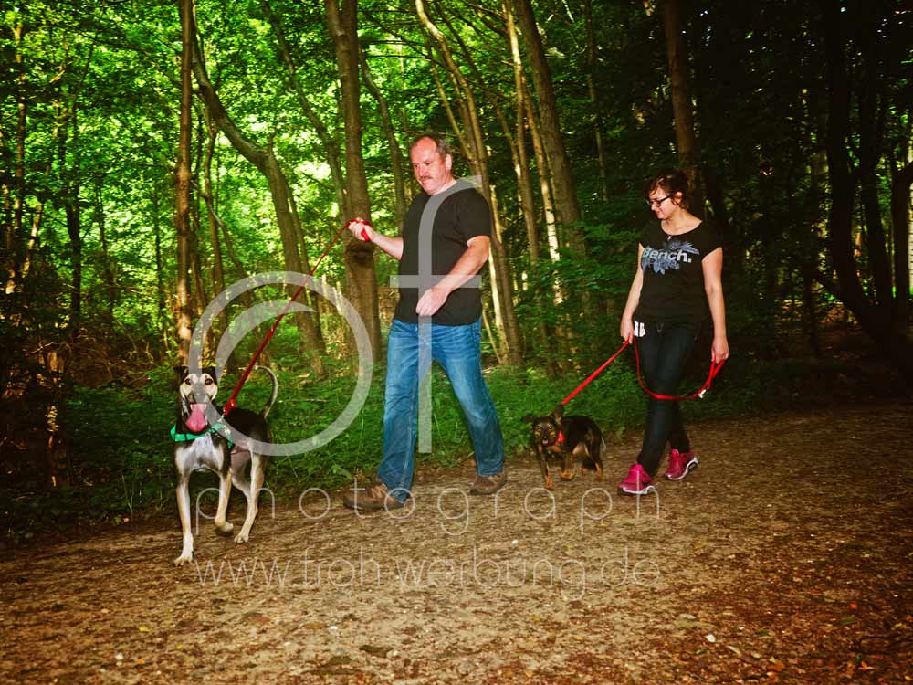 Hundewanderung31