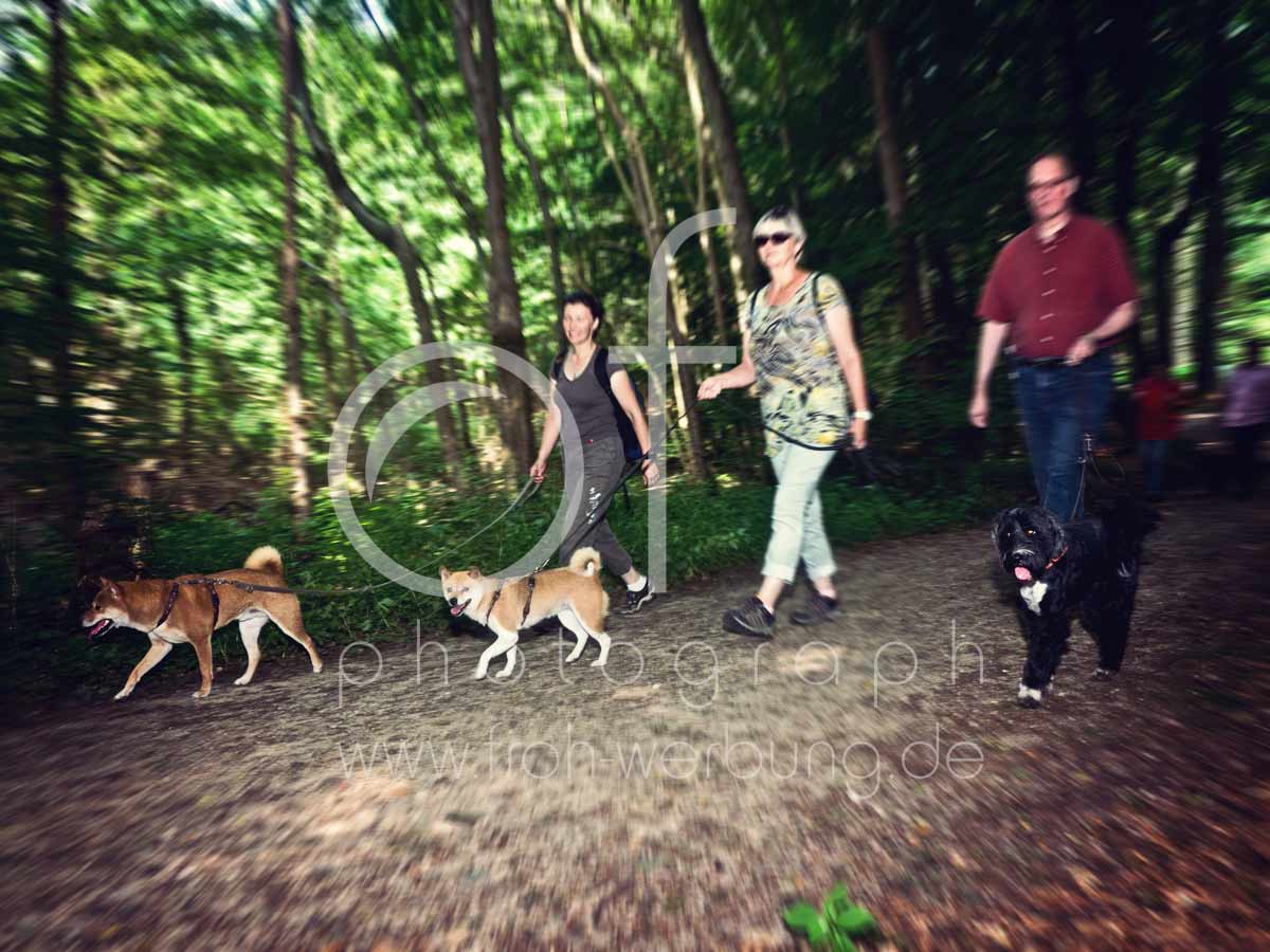 Hundewanderung34