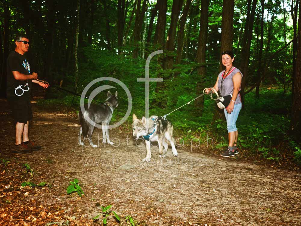 Hundewanderung44