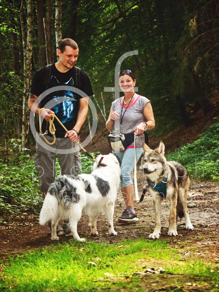 Hundewanderung51