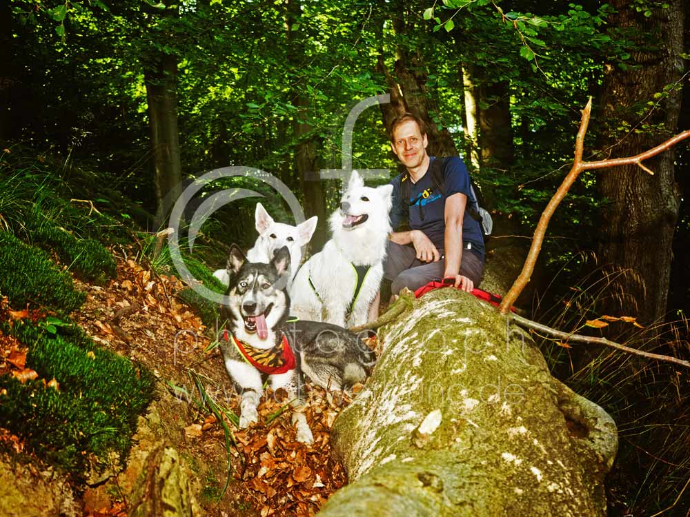 Hundewanderung55