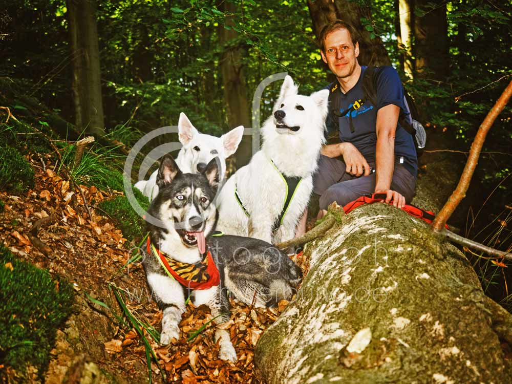 Hundewanderung56