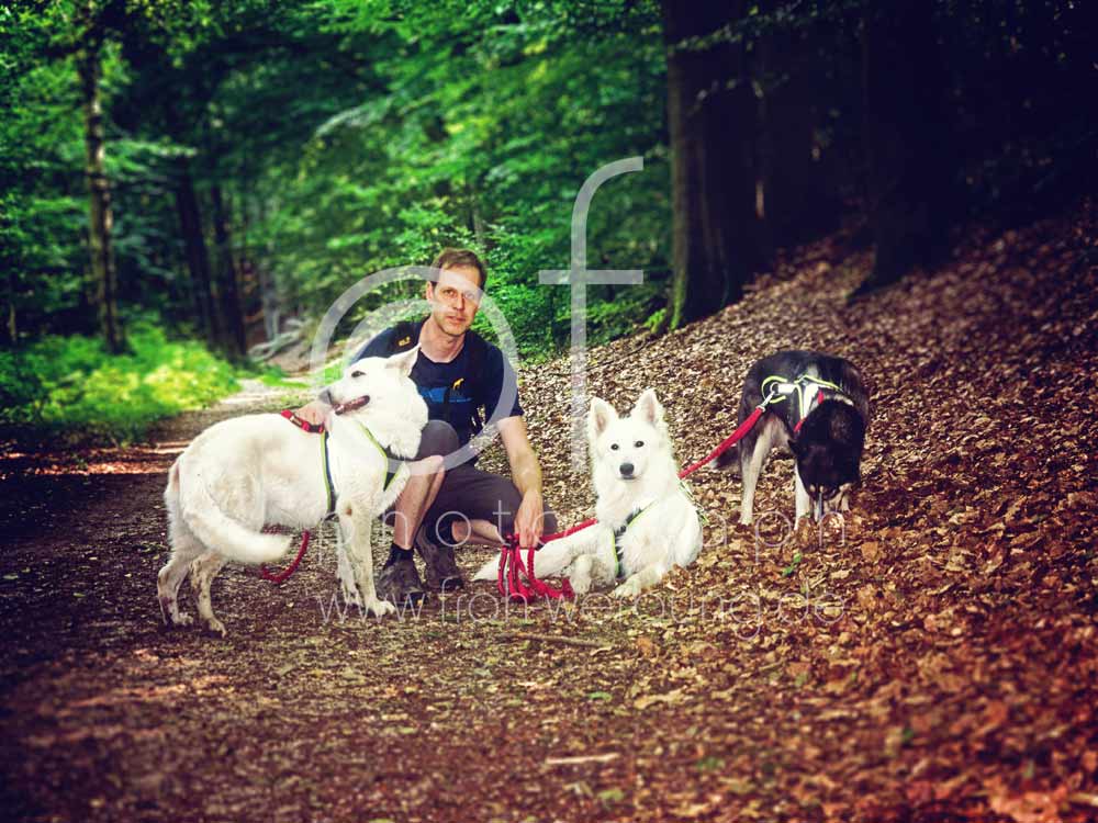 Hundewanderung63