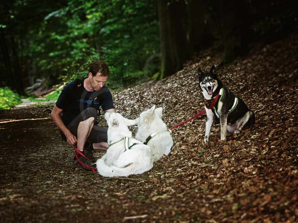 Hundewanderung64