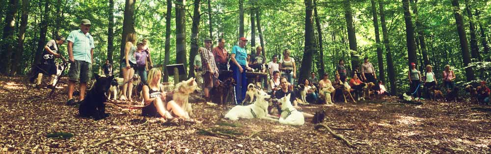 Hundewanderung67