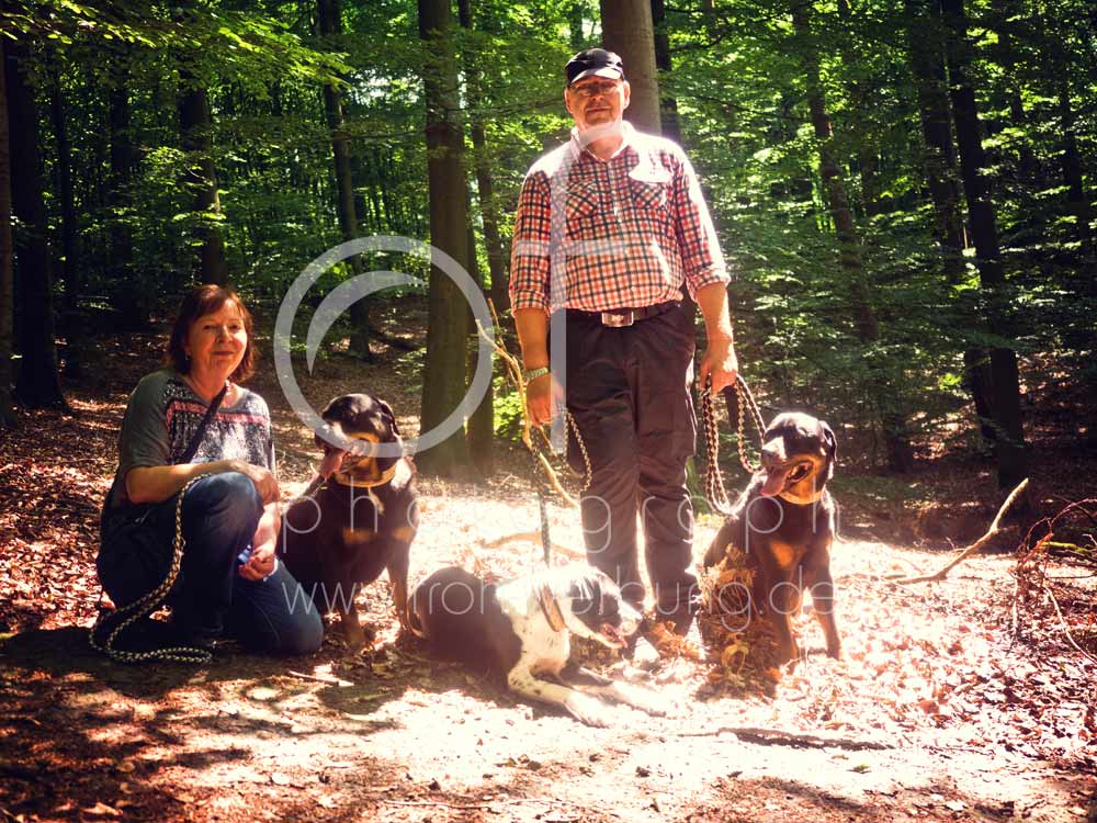 Hundewanderung73