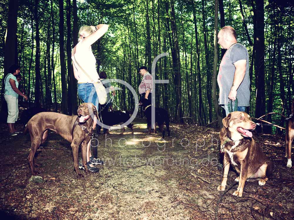 Hundewanderung84