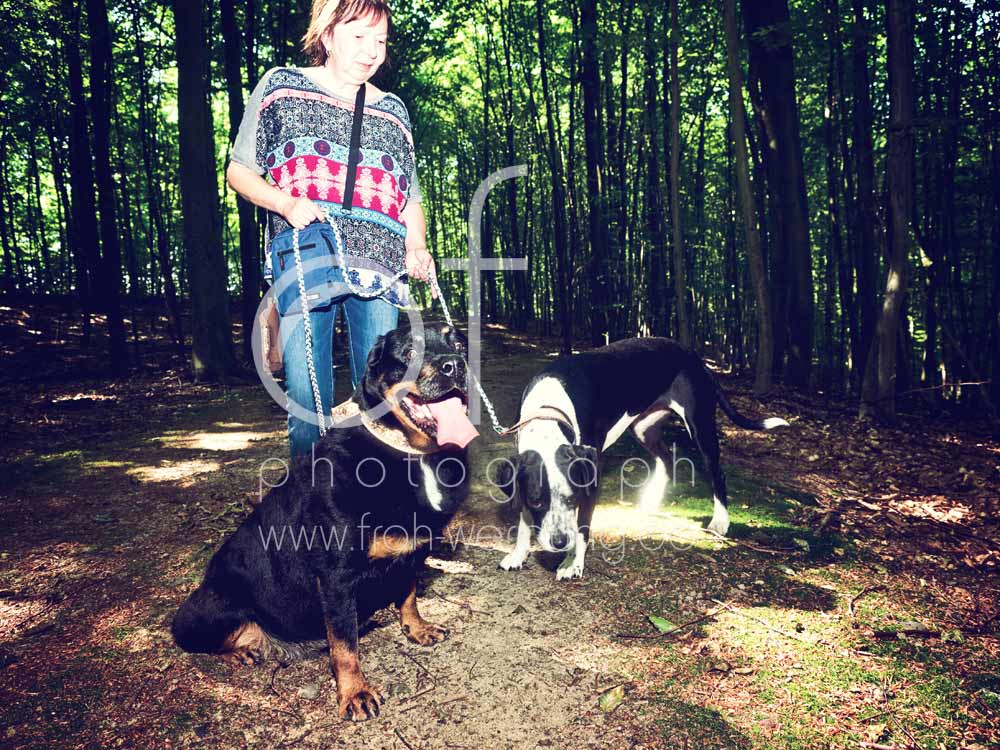 Hundewanderung86