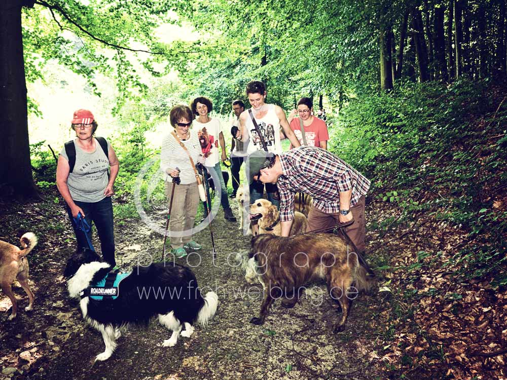Hundewanderung89