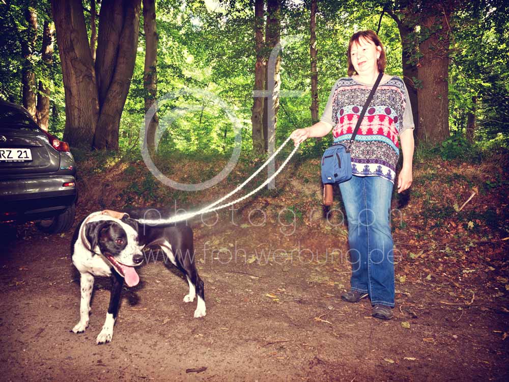 Hundewanderung9