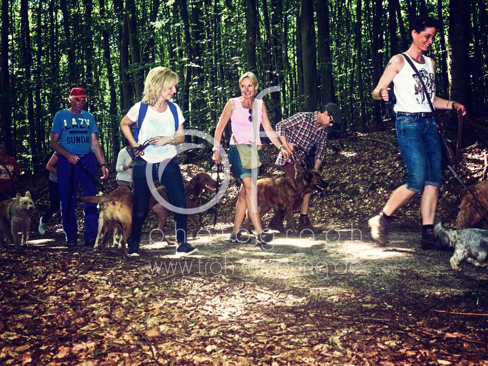 Hundewanderung93