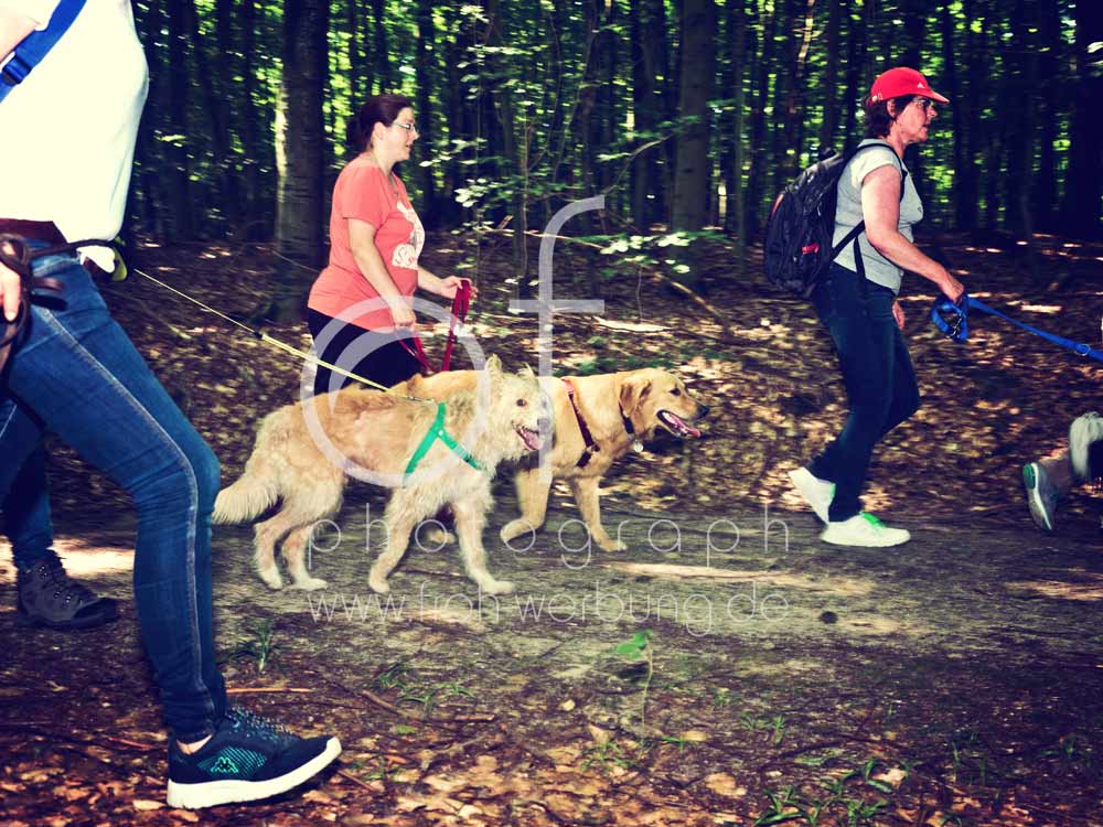 Hundewanderung94