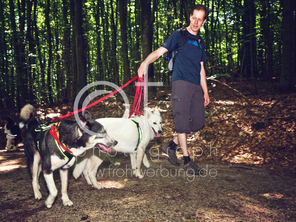 Hundewanderung96