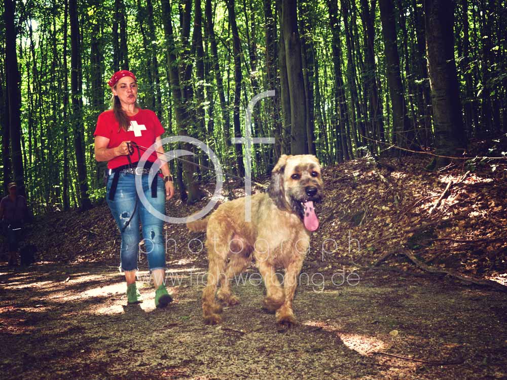 Hundewanderung97